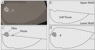 Multilayer geometrically accurate tissue phantoms for Raman spectroscopy