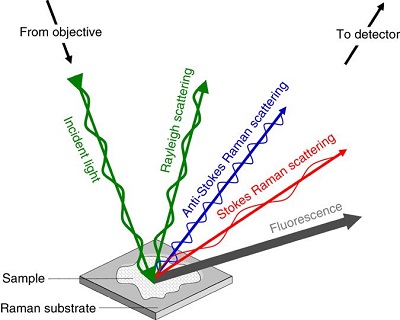 Raman microspectroscopy