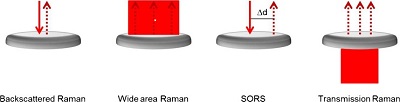 Raman measurement modalities for analysis of turbid media